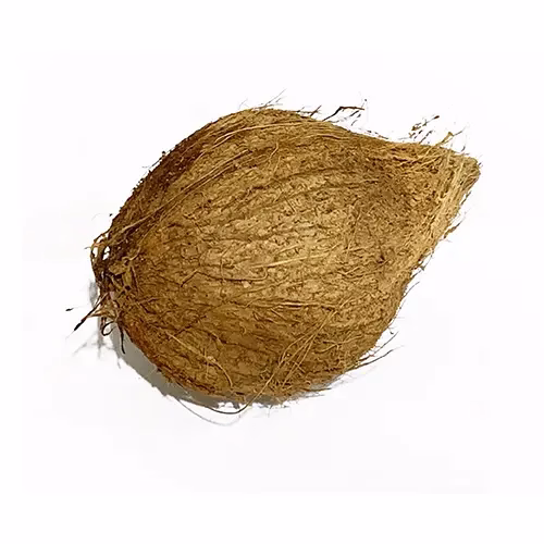 Coconut Dry 500g India